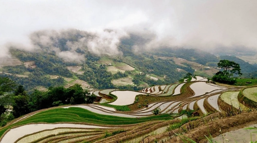 the morning mist in lung vai ha giang