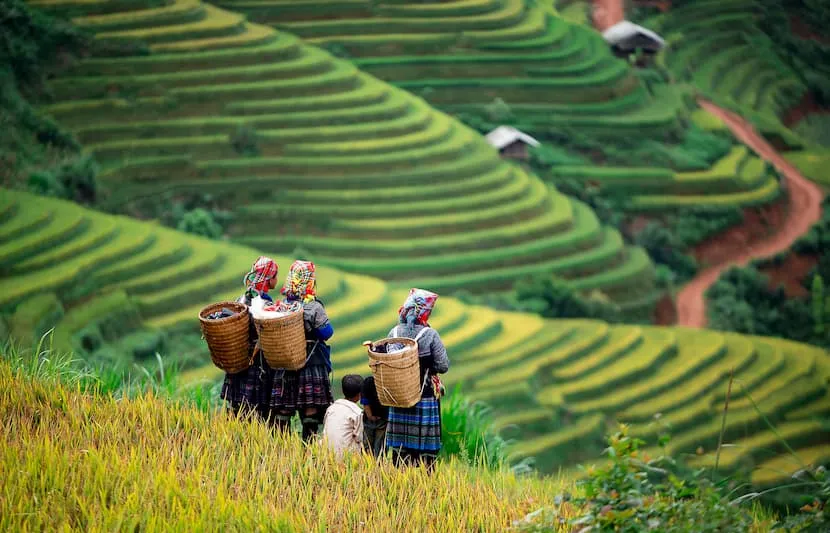 mai chau pu luong