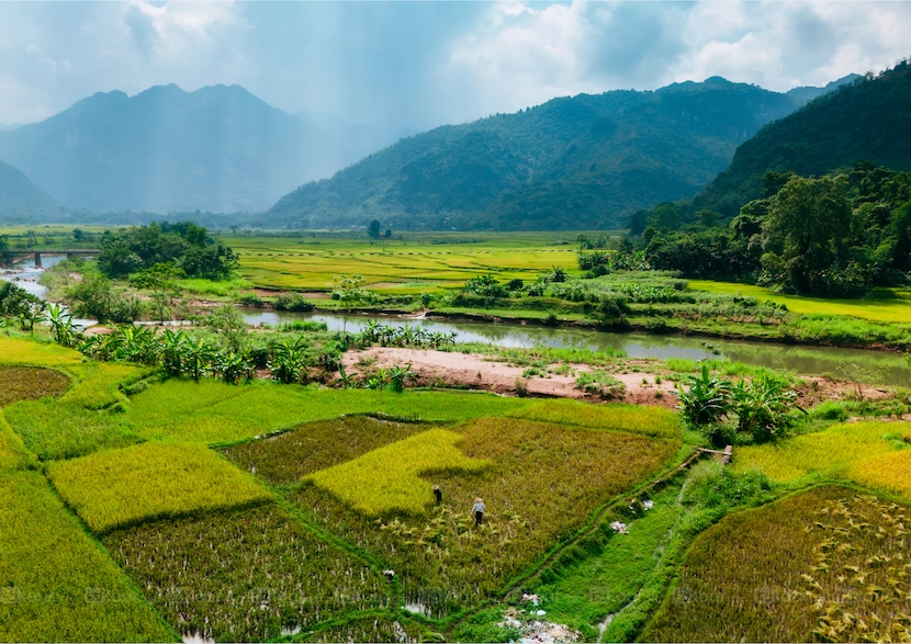 mai hich village