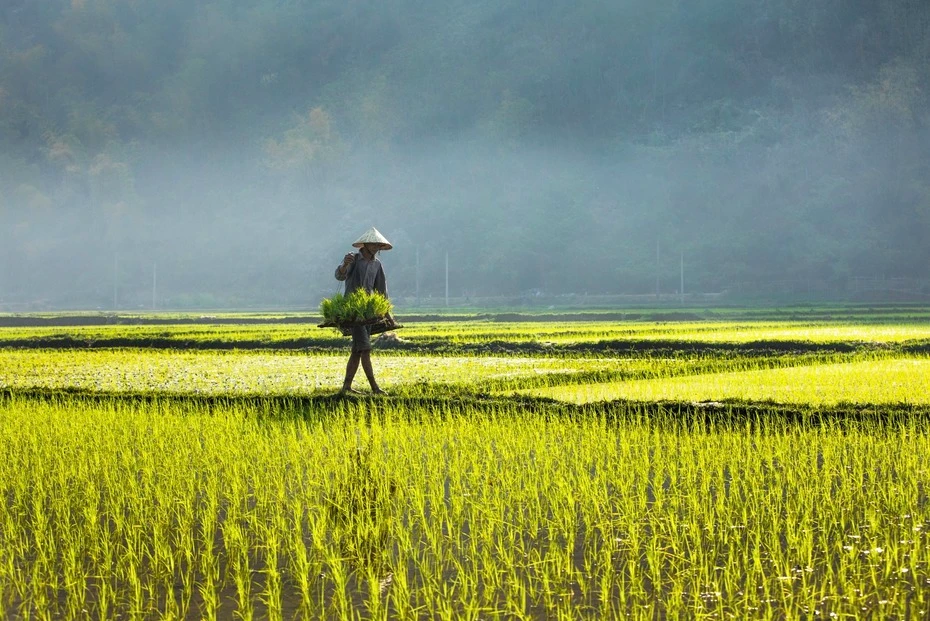 Itineraire voyage Vietnam pu luong