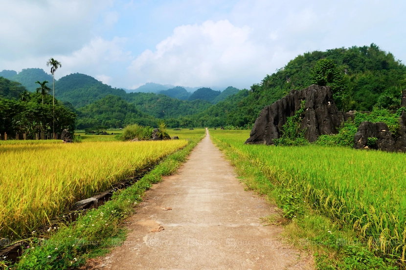 mai chau pu luong vietnam what to do