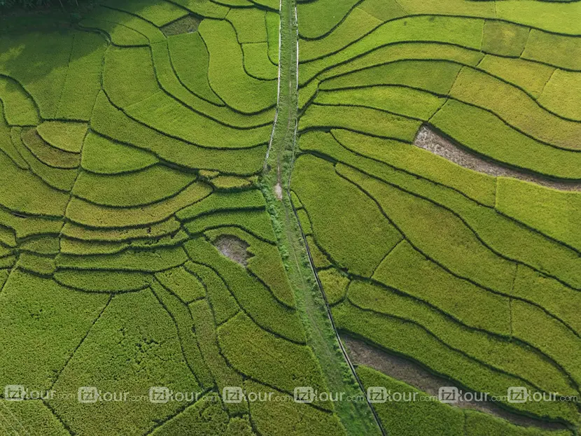 riziere mai chau vietnam