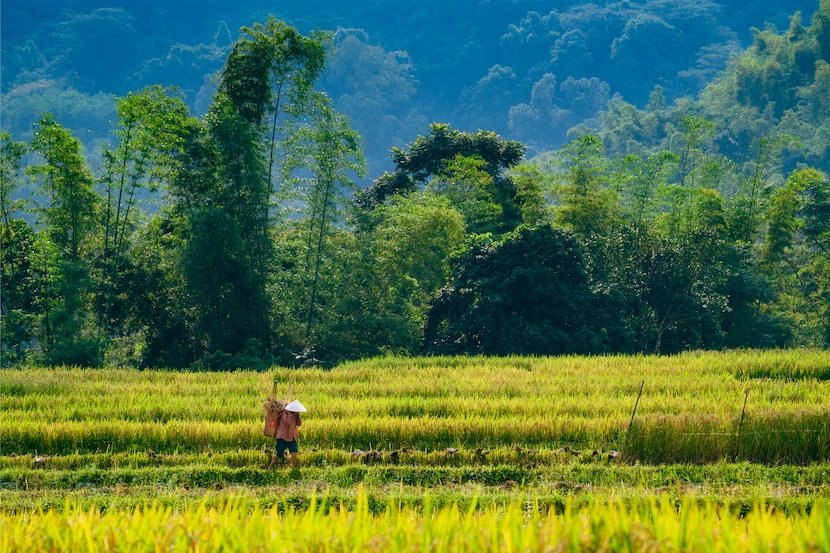 overview about mai chau