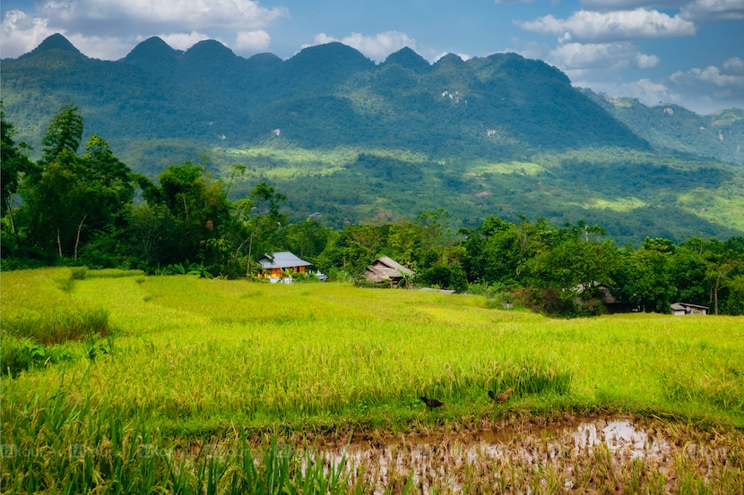 mai chau valley