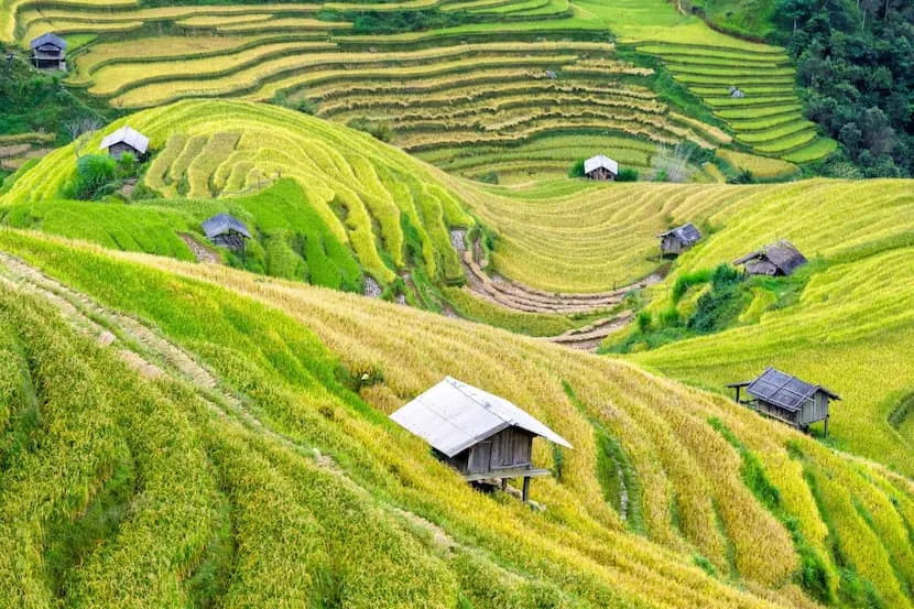 MAI CHAU VIETNAM