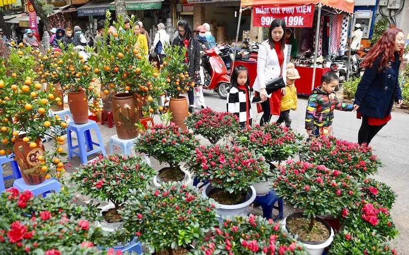 marché aux fleurs de hang luoc