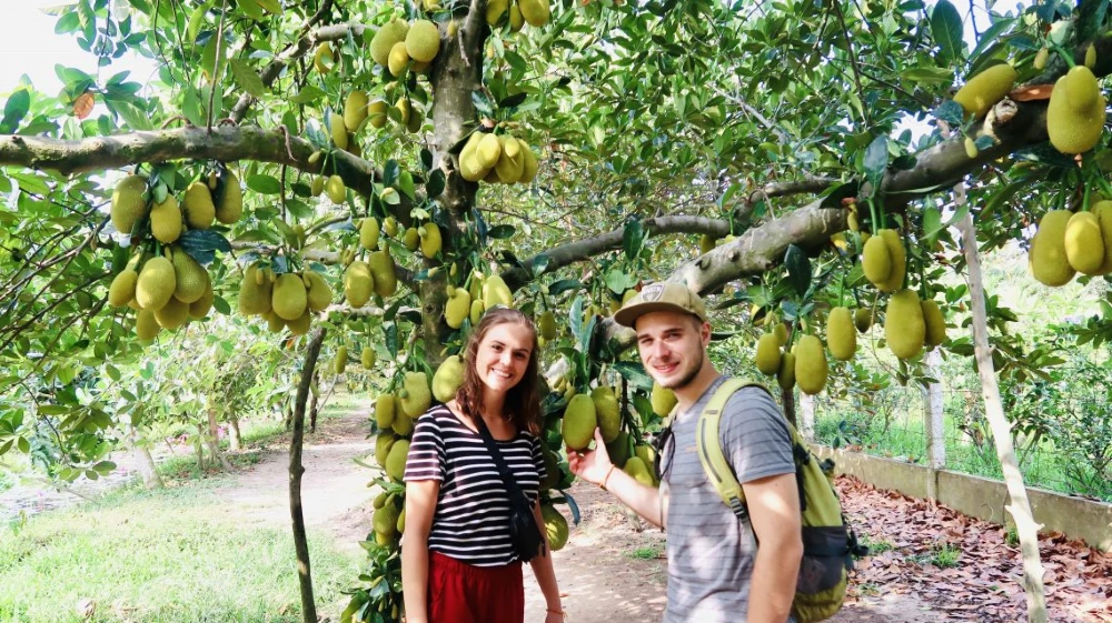 Esperienza di raccolta della frutta in un frutteto tradizionale vietnamita