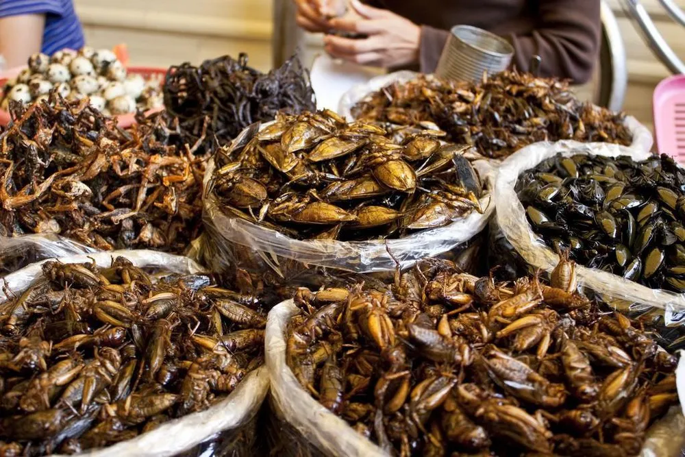 a selection of Insect-Based Dishes like fried crickets or roasted larvae, sold at a Laos night market