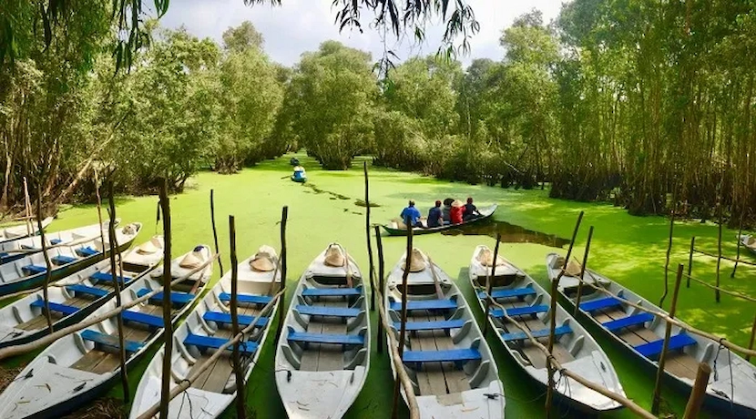 tra su cajuput forest in vietnam