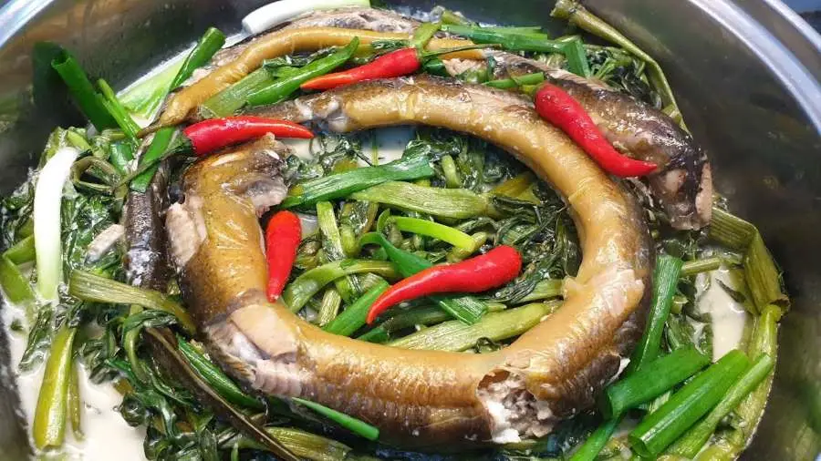 mekong dishes in floating season eel