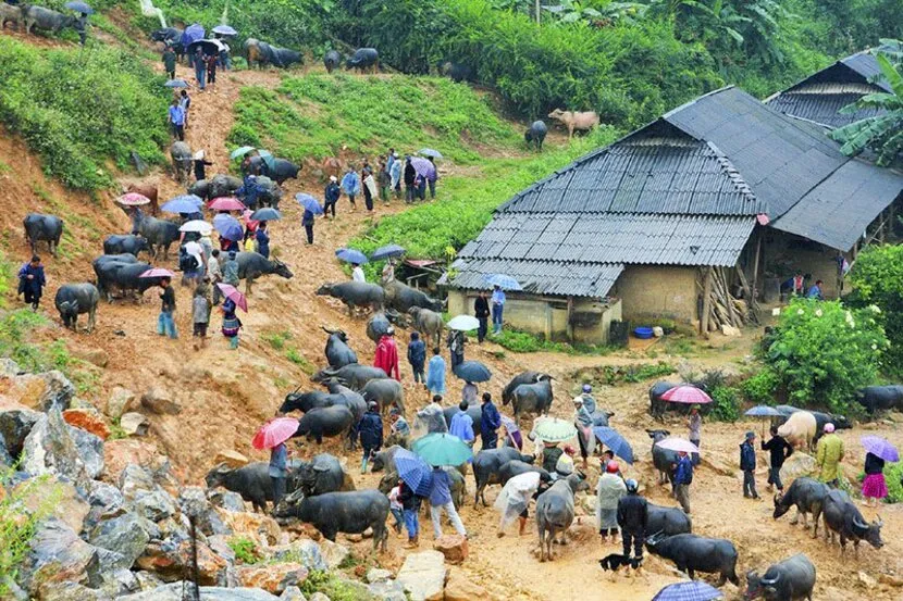 mercato etnico lao cai can cau