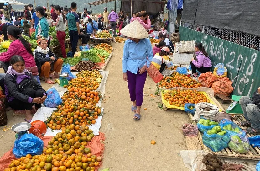 mercato pho doan