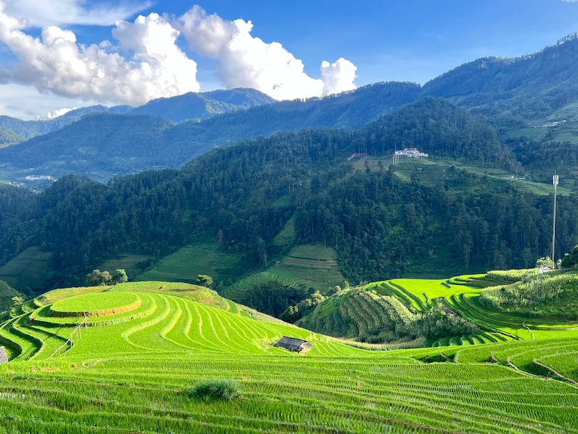 mu cang chai in august