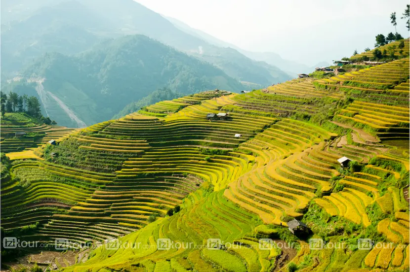 mu cang chai riziere vietnam