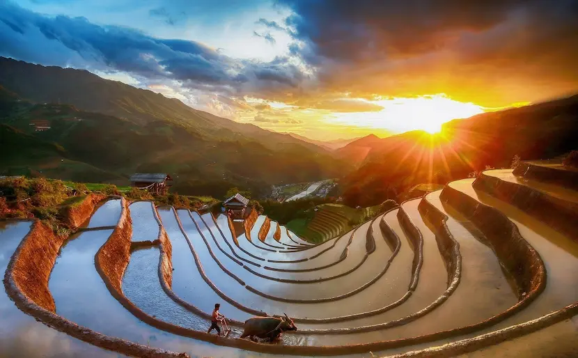 Campo di riso nella stagione delle piogge a Mu Cang Chai, Vietnam