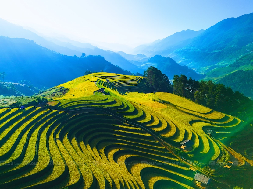 mu cang chai rice terraces