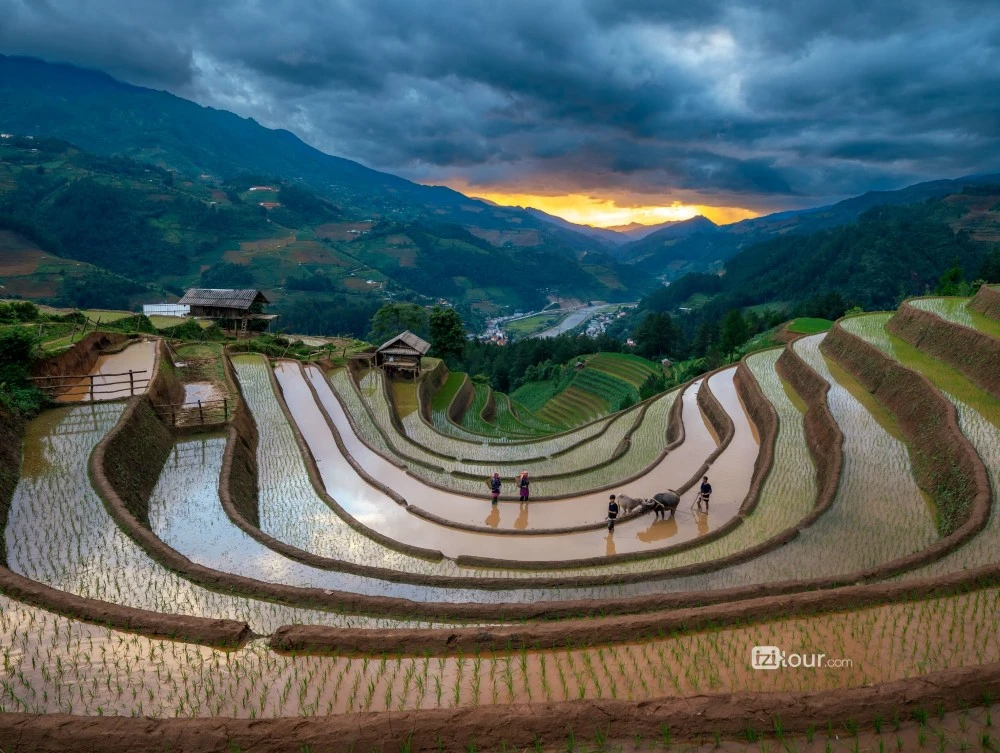 vietnam photo trip mu cang chai
