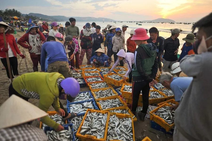 vietnamese markets mui ne fishing markets