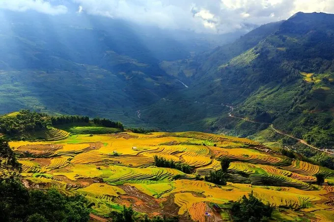 terrazzamenti di riso valle muong hoa