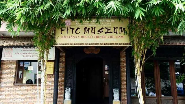 musée fito