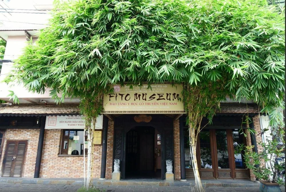 museo fito
