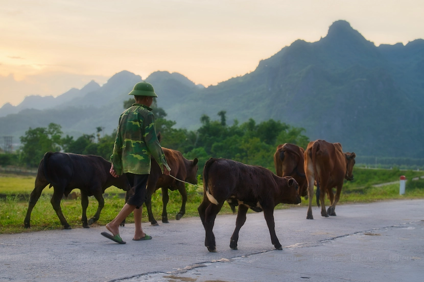 ninh binh authentic life