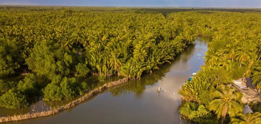 noix de coco ben tre