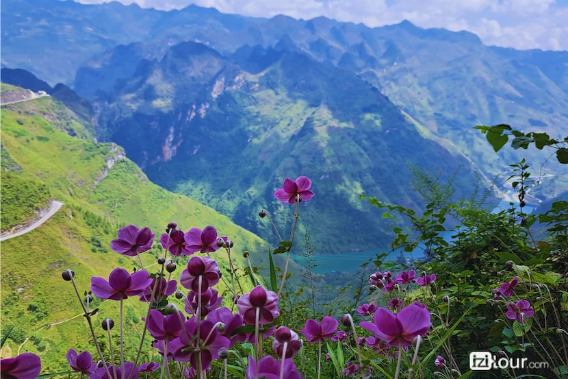 north east vietnam ma pi leng pass