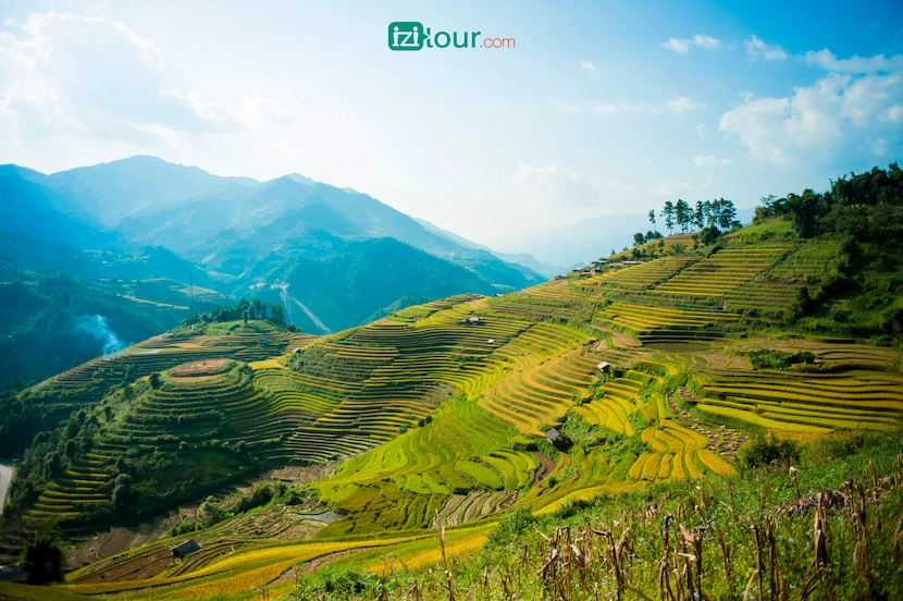 mu cang chai