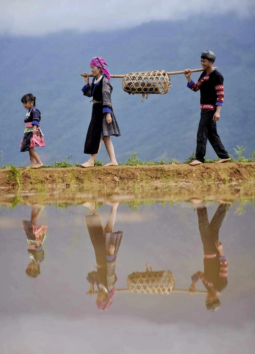 mu cang chai in water pouring season