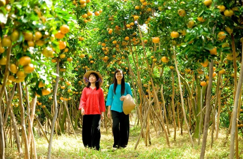 orchard mekong vietnam in april