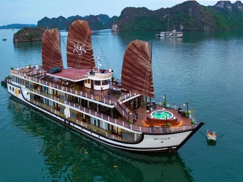 orchid croisiere