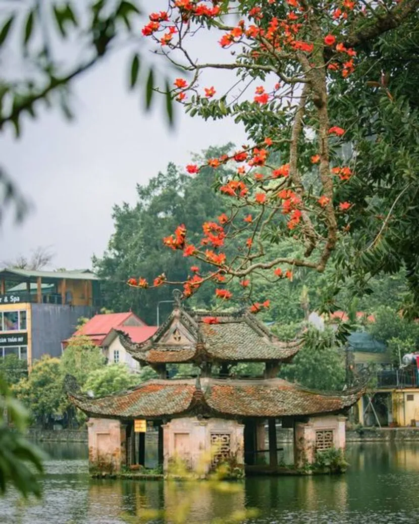 thay pagoda hanoi vietnam