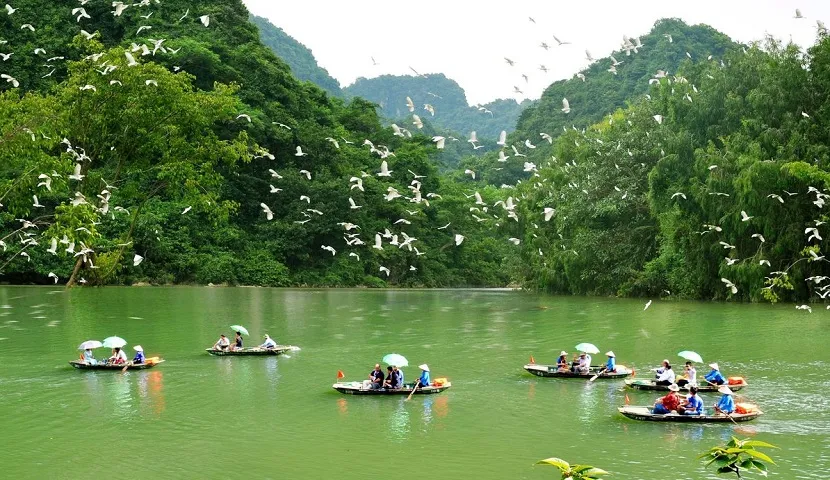 thung nham ninh binh