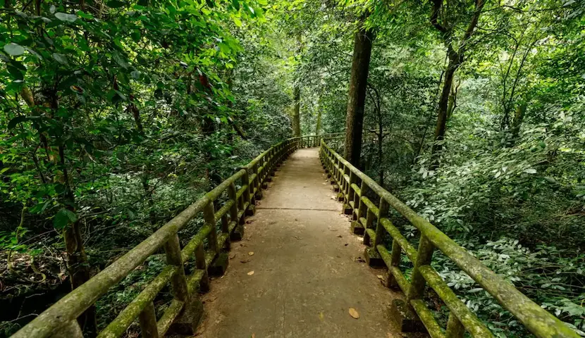 parc national de cuc phuong
