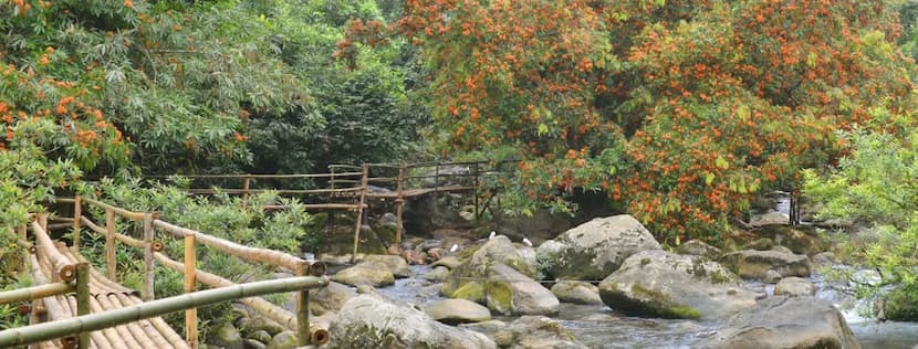 phong nha ke bang parc national