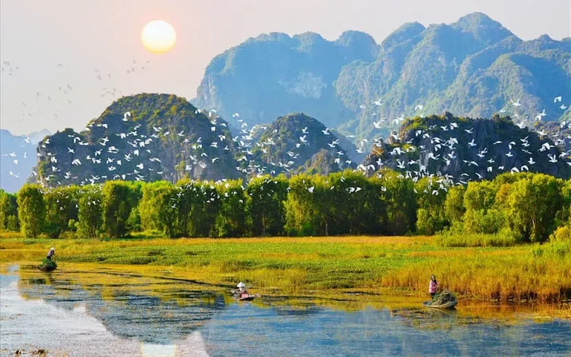 parc des oiseaux ninh binh