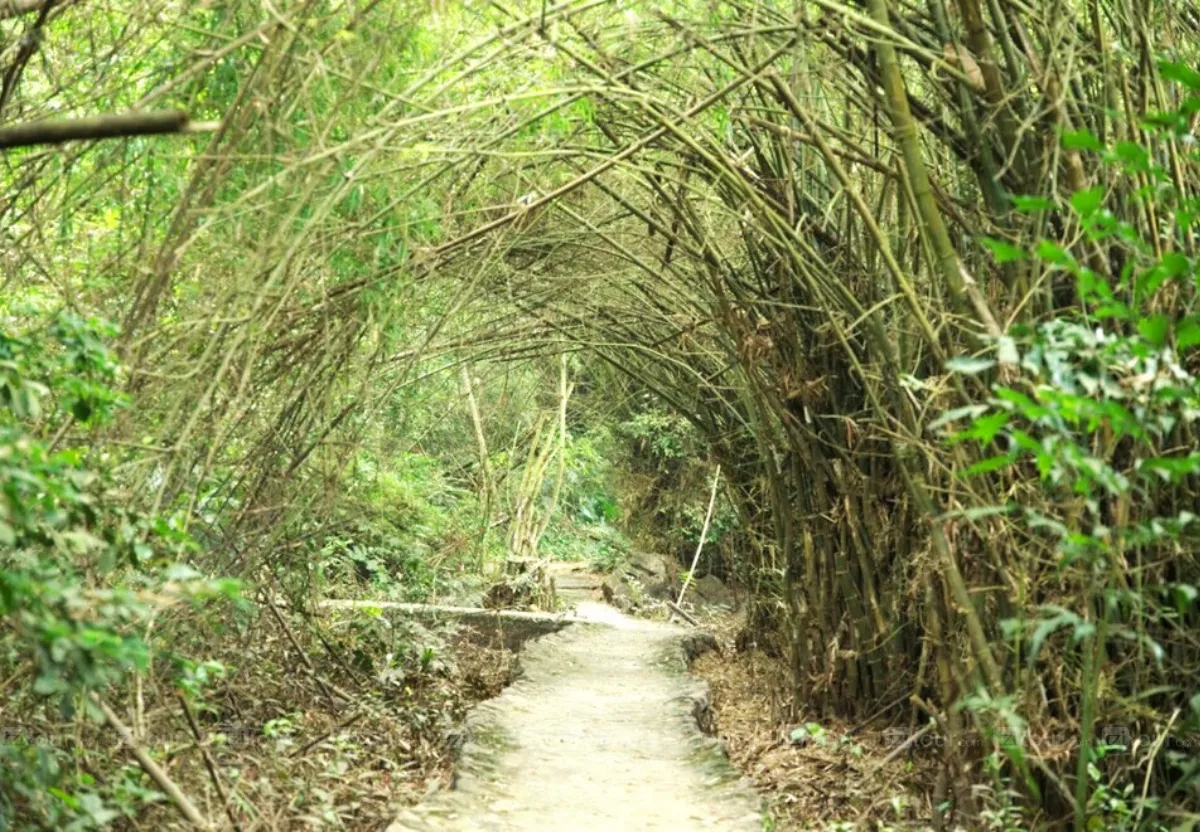 entrance to thien ha cave