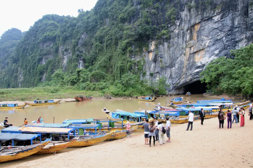 Indochinese tigers at Phong Nha-Ke Bang National Park