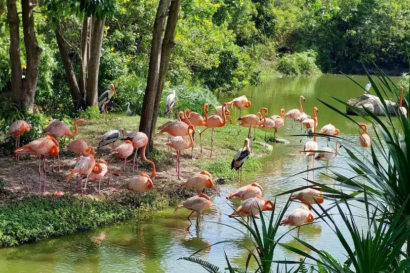 parc national de Phu Quoc