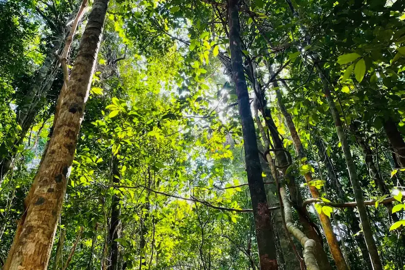 parc national de Phu Quoc