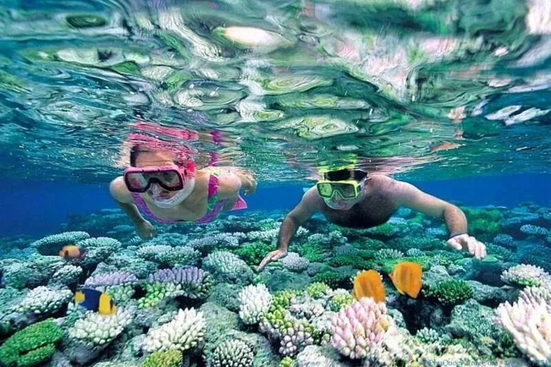 îles cham plongée, vietnam