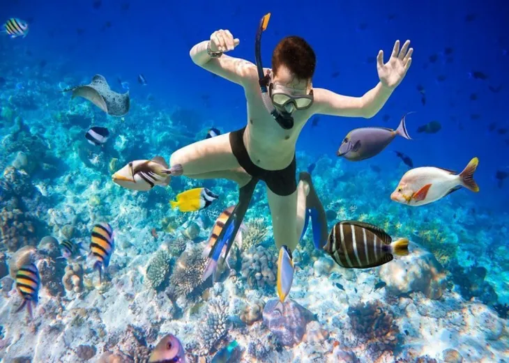 snorkelling à hoi an