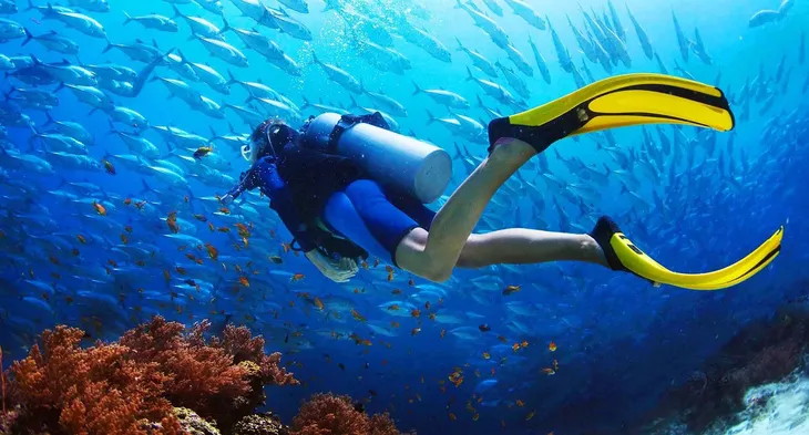 snorkelling hoi an