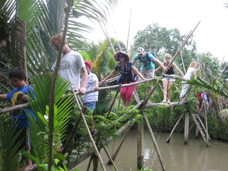 pont des singes