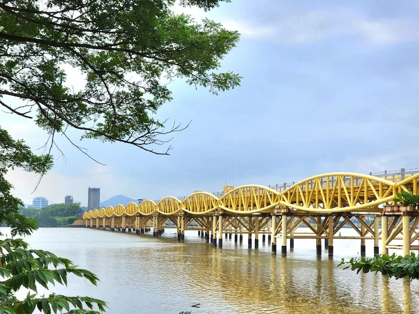 pont nguyen van troi