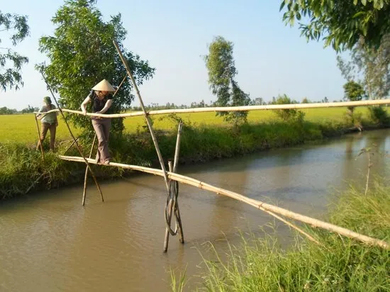 ponte scimmie delta mekong vietnam
