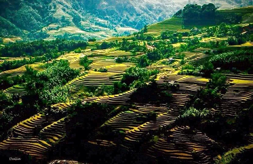 rice terrace in chieu lau thi