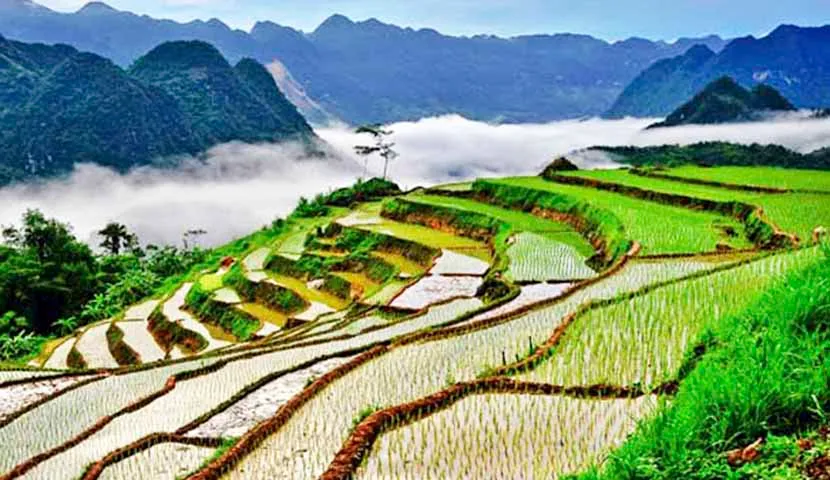 villaggio don pu luong