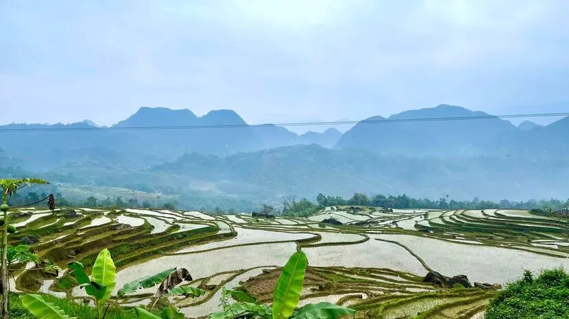 pu luong rizières en terrasses